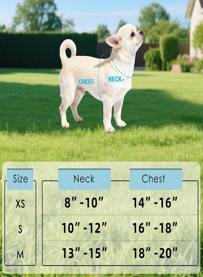 مايل هاي لايف سرج كلاب من مايل هاي لايف، سترة صدرية شبكية هوائية مزينة بالزهور للكلاب والقطط الصغيرة التي تزن 20 رطلاً، سهلة الارتداء، مزودة بمشابك سهلة التعديل حول الرقبة والصدر (زهرة بنفسجية، مقاس XS، محيط الصدر 14-16 بوصة). - Image 2